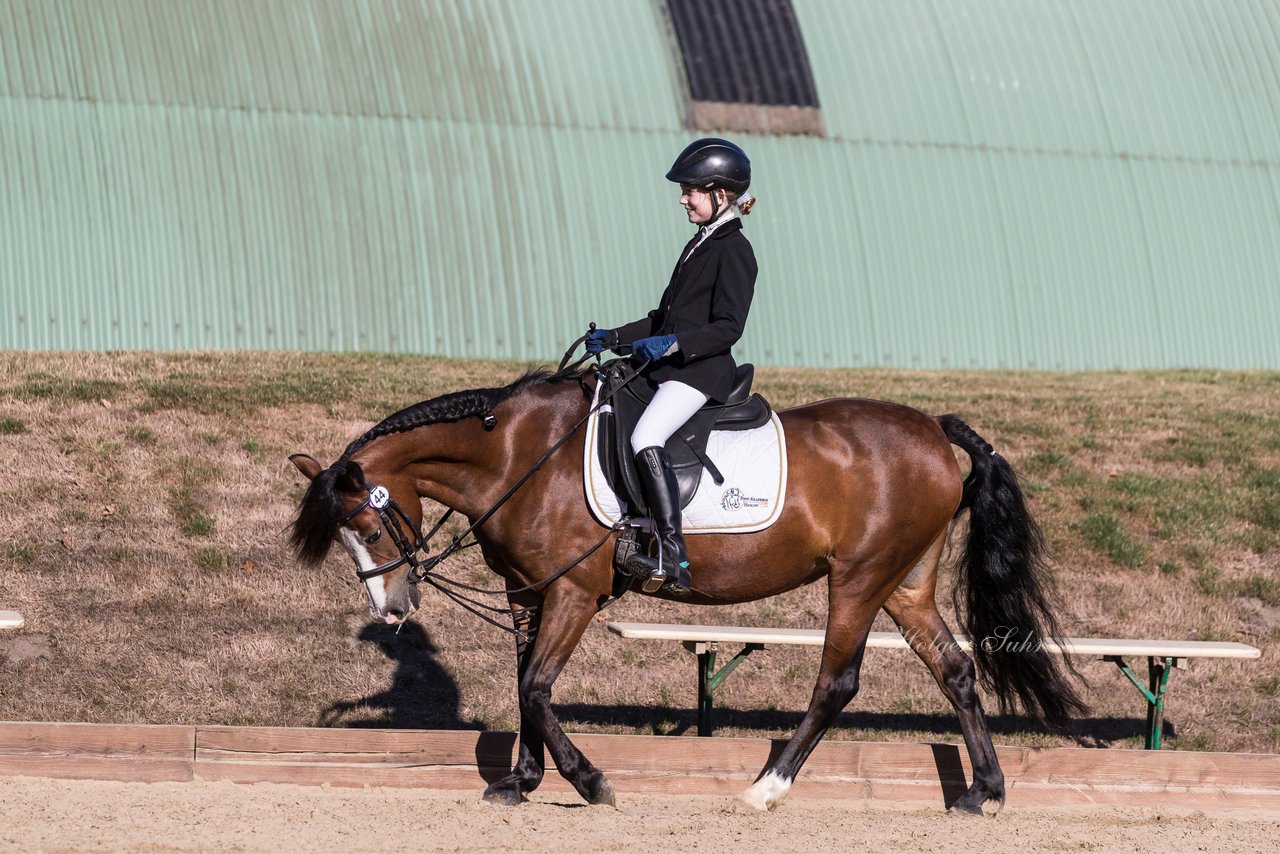 Bild 2 - Pony Akademie Turnier